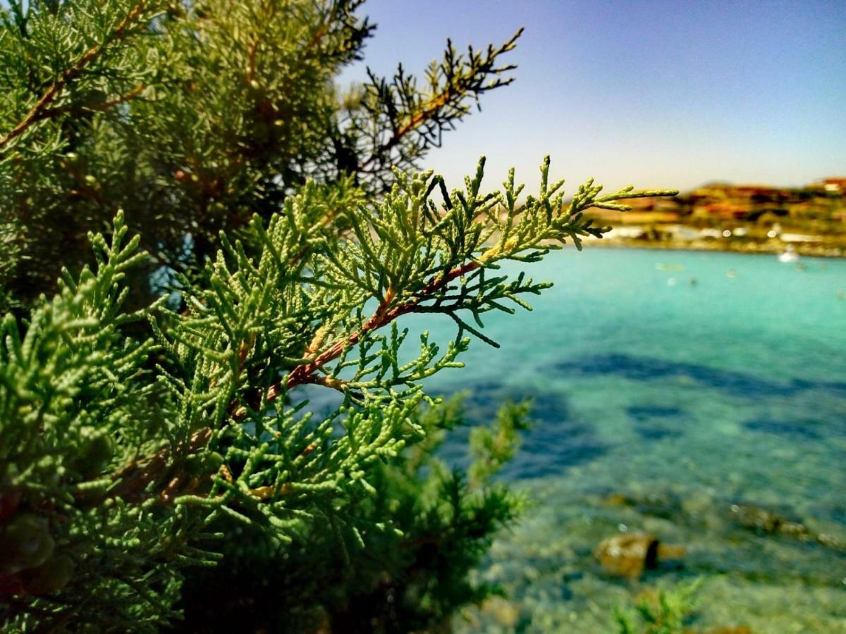 Le Stanze Del Mare Aparthotel Golfo Aranci Kültér fotó