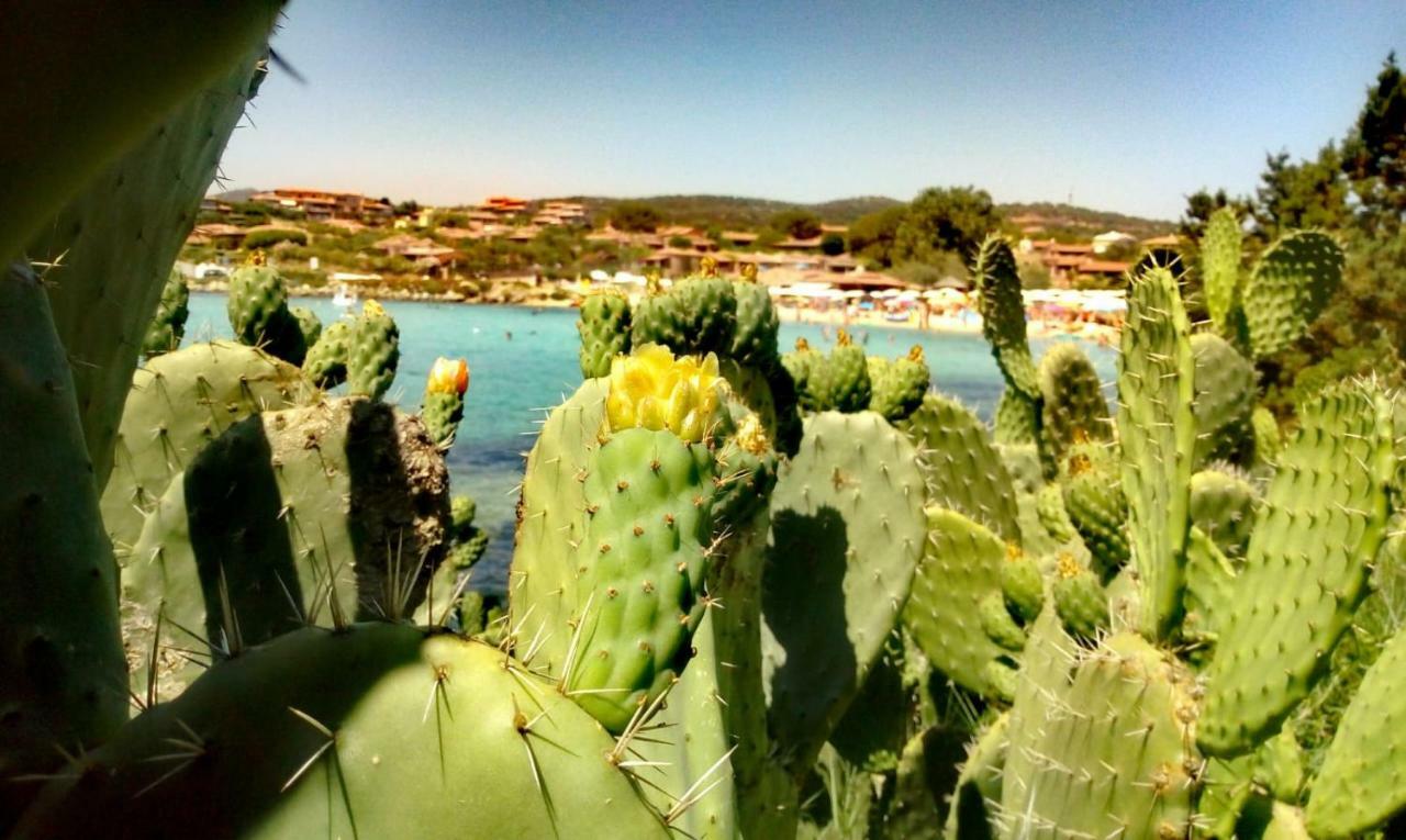 Le Stanze Del Mare Aparthotel Golfo Aranci Kültér fotó